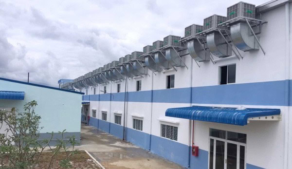Hệ thống làm mát nhà xưởng bằng hơi nước cho các doanh nghiệp.