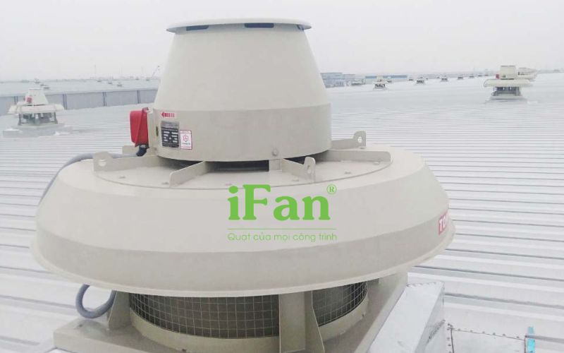 Quạt ốc sên công nghiệp lắp mái